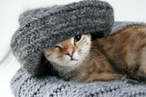 Как связать шапку с отворотом
